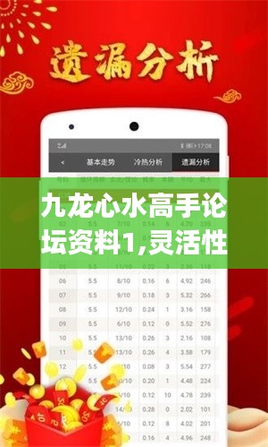九龙心水高手论坛资料1,灵活性计划实施_XR14.218