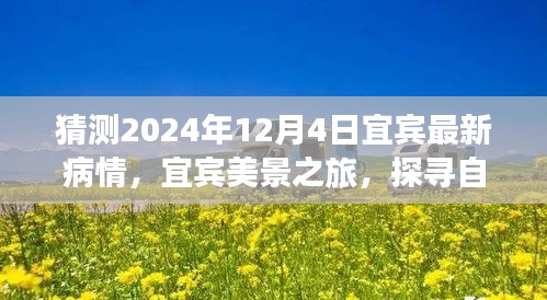 天生丽质 第4页