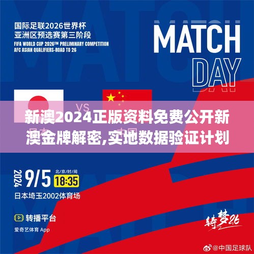 新澳2024正版资料免费公开新澳金牌解密,实地数据验证计划_升级版10.516