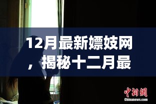揭秘十二月最新嫖妓网，犯罪阴影下的网络角落需警惕。