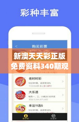 新澳天天彩正版免费资料340期观看,高效实施设计策略_进阶版4.511