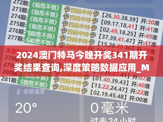 2024澳门特马今晚开奖341期开奖结果查询,深度策略数据应用_MP8.388