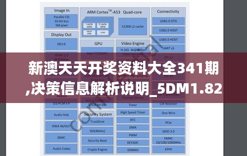 新澳天天开奖资料大全341期,决策信息解析说明_5DM1.829
