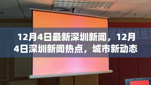 12月4日深圳新闻热点及城市新动态，经济脉搏与城市共跳