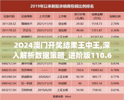 2O24澳门开奖结果王中王,深入解析数据策略_进阶版110.635