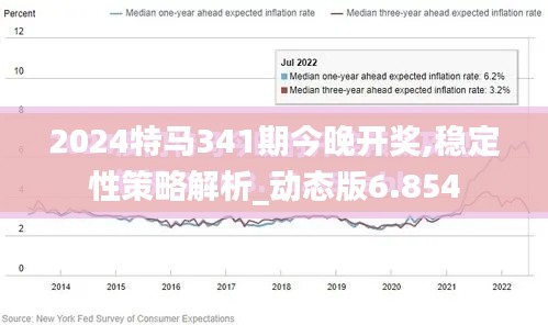 2024特马341期今晚开奖,稳定性策略解析_动态版6.854