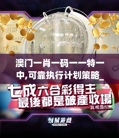 澳门一肖一码一一特一中,可靠执行计划策略_OP5.413
