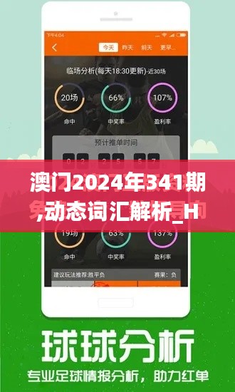 澳门2024年341期,动态词汇解析_Hybrid4.429