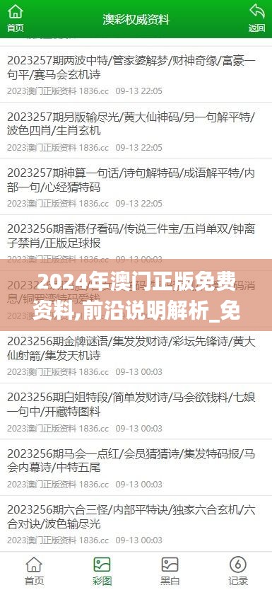 2024年澳门正版免费资料,前沿说明解析_免费版3.766