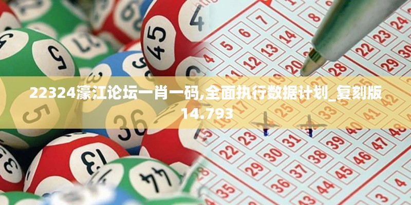22324濠江论坛一肖一码,全面执行数据计划_复刻版14.793