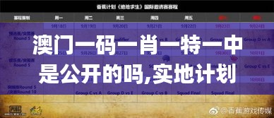 澳门一码一肖一特一中是公开的吗,实地计划验证数据_V22.523