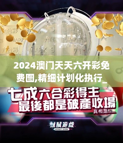 2024澳门天天六开彩免费图,精细计划化执行_进阶版11.308