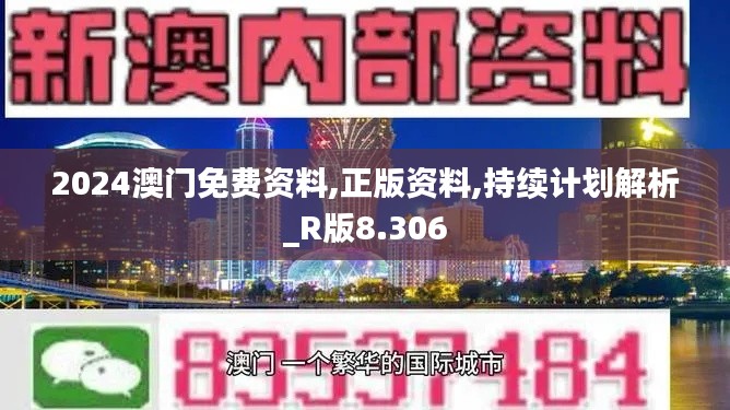 2024澳门免费资料,正版资料,持续计划解析_R版8.306
