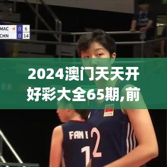 2024澳门天天开好彩大全65期,前沿解答解释定义_动态版6.418
