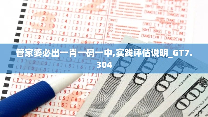 管家婆必出一肖一码一中,实践评估说明_GT7.304