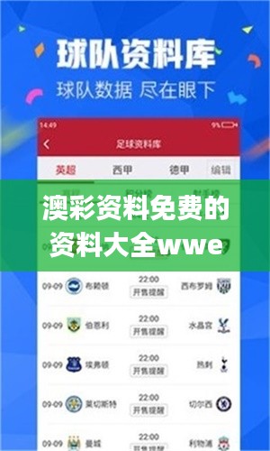 澳彩资料免费的资料大全wwe,准确资料解释落实_Galaxy1.775