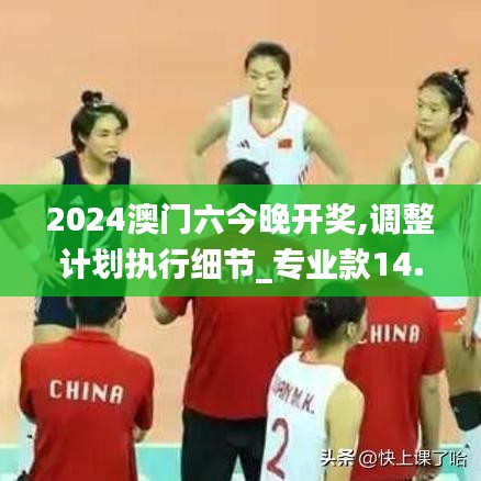 2024澳门六今晚开奖,调整计划执行细节_专业款14.683