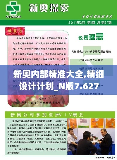 新奥内部精准大全,精细设计计划_N版7.627