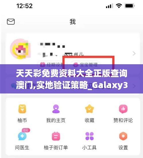 天天彩免费资料大全正版查询澳门,实地验证策略_Galaxy3.124