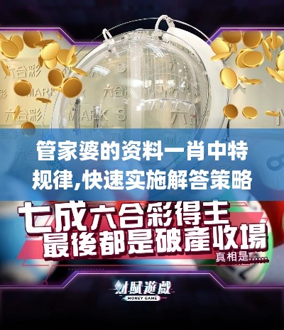 管家婆的资料一肖中特规律,快速实施解答策略_QHD版7.516