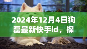 揭秘狗磊新居与快手ID，巷子深处的独特风味与惊喜（最新更新）