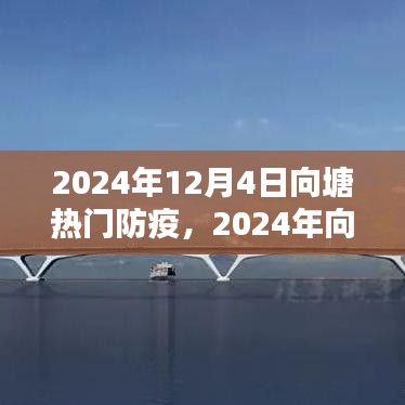向塘地区防疫操作指南详解，防疫任务与步骤教程（2024年）