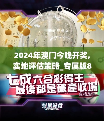 2024年澳门今晚开奖,实地评估策略_专属版8.161