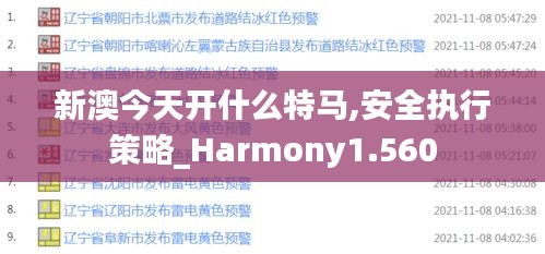 新澳今天开什么特马,安全执行策略_Harmony1.560
