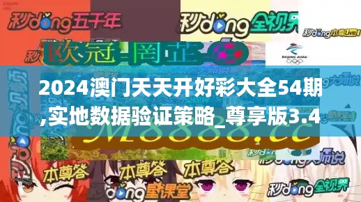 2024澳门天天开好彩大全54期,实地数据验证策略_尊享版3.471