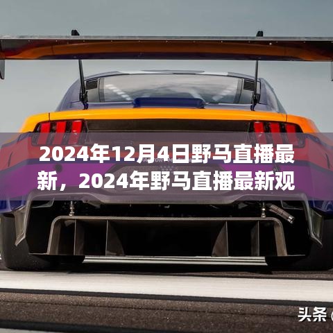 2024年野马直播最新观看指南，从零开始，掌握直播技能