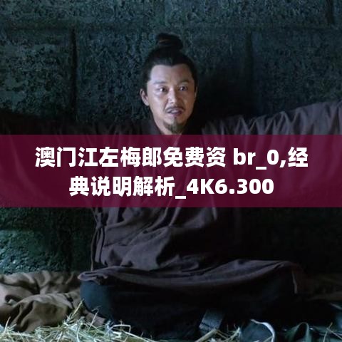 澳门江左梅郎免费资 br_0,经典说明解析_4K6.300