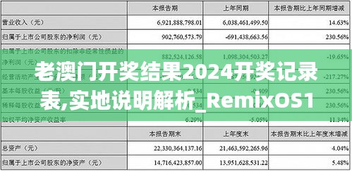 老澳门开奖结果2024开奖记录表,实地说明解析_RemixOS10.589