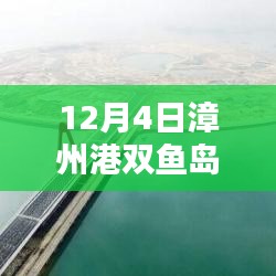 12月4日漳州港双鱼岛热门消息全攻略，掌握最新资讯与动态