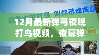 夜幕弹弓，探寻最新弹弓夜晚打鸟视频的秘密