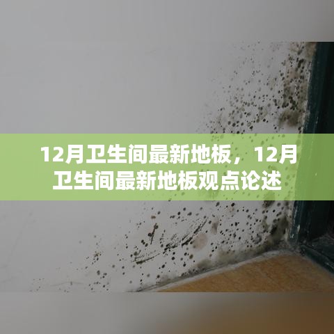 12月卫生间地板最新动态与观点论述