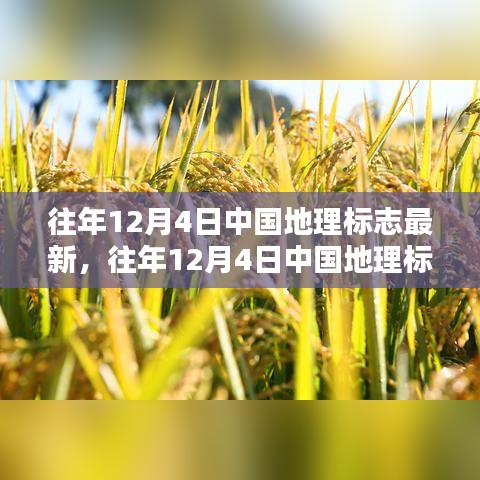往年12月4日中国地理标志概览及最新动态，深度解析与要点回顾