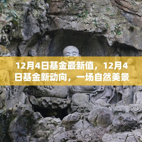 探寻心灵宁静与富饶，最新基金动向与自然美景之旅的启示（12月4日）