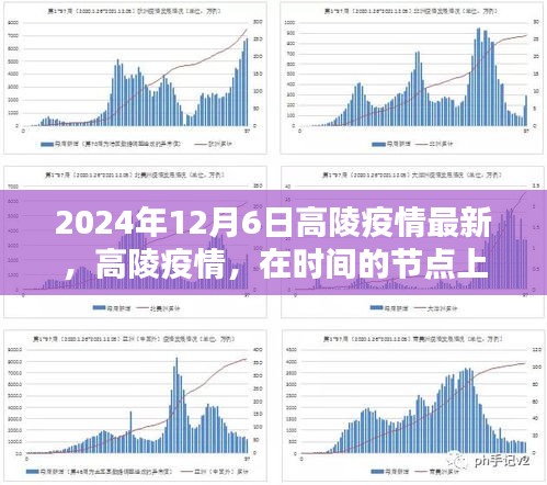 2024年12月6日高陵疫情最新进展，时间节点上的深刻记忆