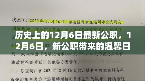 12月6日新公职上任，温馨日常故事开启