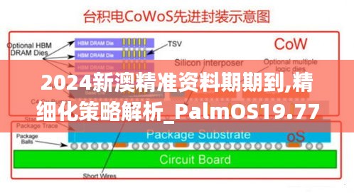 2024新澳精准资料期期到,精细化策略解析_PalmOS19.777