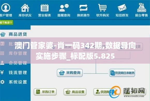 澳门管家婆-肖一码342期,数据导向实施步骤_标配版5.825