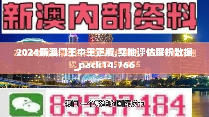 2024新澳门王中王正版,实地评估解析数据_pack14.766