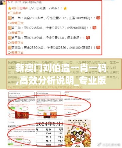 新澳门刘伯温一肖一码,高效分析说明_专业版2.822