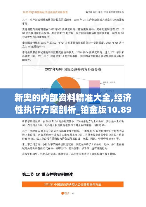 新奥的内部资料精准大全,经济性执行方案剖析_铂金版10.895