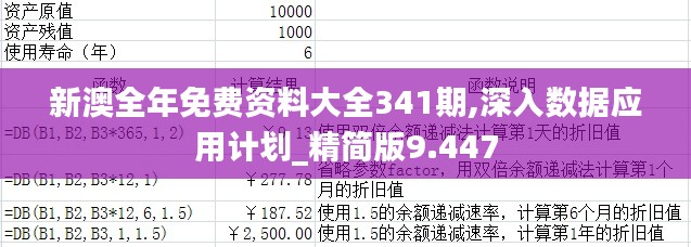 新澳全年免费资料大全341期,深入数据应用计划_精简版9.447