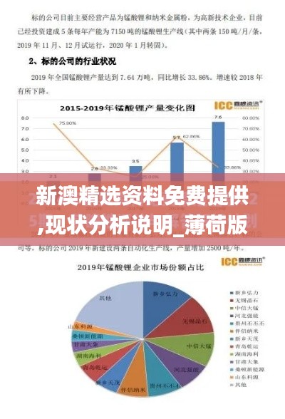 新澳精选资料免费提供,现状分析说明_薄荷版8.316