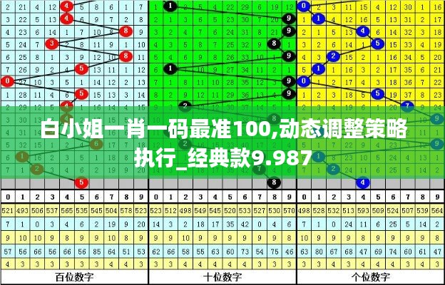白小姐一肖一码最准100,动态调整策略执行_经典款9.987