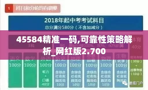 45584精准一码,可靠性策略解析_网红版2.700