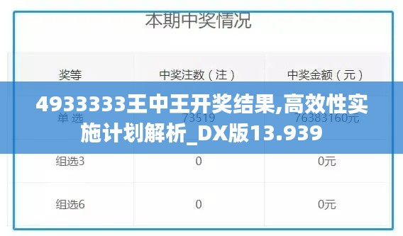 4933333王中王开奖结果,高效性实施计划解析_DX版13.939