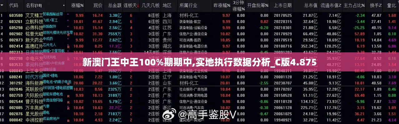 新澳门王中王100%期期中,实地执行数据分析_C版4.875